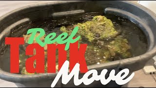 Reef Tank Move | Redsea 200 G2 | Waterbox