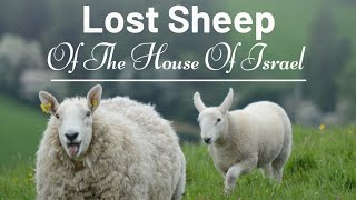 The Lost Sheep Of The House Of Israel