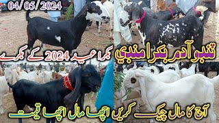 Tando adam bakra mandi | Latset update today | Eid ul adha 2024 | mandi updates | date 04/05/2024