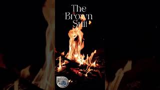 Campfire Stories: Part 1 Excerpt | The Brown Suit #books #nightnite #camping