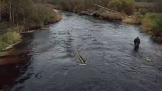 Путешествие к заброшенной зоне и в Кенозерский парк