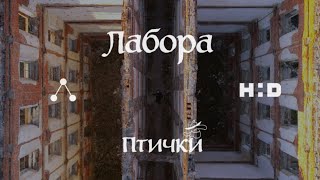 Лабора — Птички (тизер клипа)