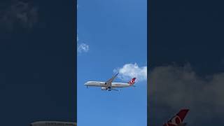 Turkish Airlines Airbus A350-900 #planespotting #viral #turkishairlines #shorts