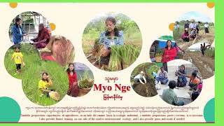 Vetiver System in Myanmar - Community Mobilization