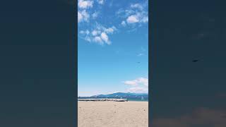 Beach Vibe 🏖️ #vancouver #beachlife #beach #beachvibes #beaches