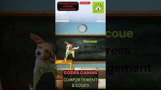 ⚠️🐕COMPRENDRE son CHIEN 🐕⚠️ COMPORTEMENT du CHIEN ! 🐶