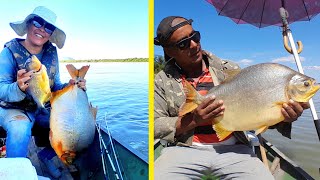 pacu caranha enorme no Rio São Francisco - Boa temporada -