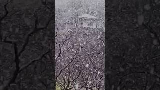 Snowfall in swat valley Pakistan #viral #viralvideo #youtubeshort #swat #snow #snowfall #snowstorm