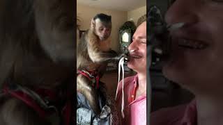 That face he made   #monkey  #funny