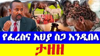 እግዚኦ ያስባለው የፈርስ እና የአህያ ስጋ ይበላ ትዛዝ #abelbirhanu #fetadaily #seyifushow