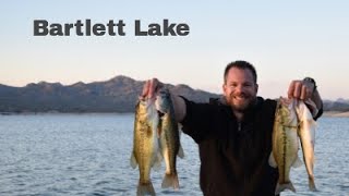 Fishing Bartlett Lake AZ I The Search For Giants (Ep 2)