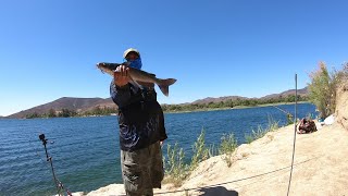 Fishing Lake Skinner With Friends