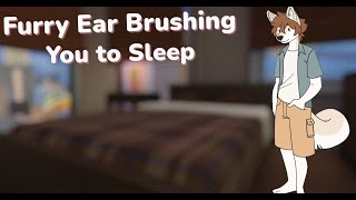 [Furry ASMR] Brushing Your Fluffy Ears to Sleep 💤