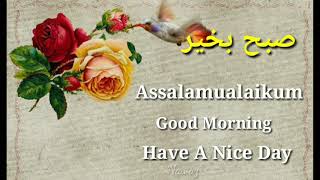 Good Morning WhatsApp Video Status Urdu & English/Power Lines