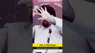 Short Clip Maulana Syed Gulrez Mahdi #KingAbbas