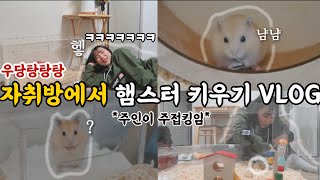 [🏠은자로그 ep:3] 외로운 20살 자취생 드디어!!!!! 가족이 생겼습니다🐹 내새끼 귀여워 죽어ㅠㅠㅠㅠㅠㅠㅠㅠㅠㅠ