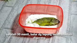 Jika Memliki Ikan Mujair bikin Seperti ini Saja