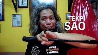 Prof Jak Othman Sao Tutorial