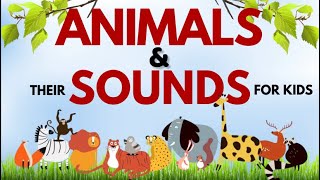 Animal Names and their Sounds for Kids 2022 | Learn Animals Name and Sound Name #animalssound #kids