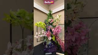 ✅Linda Orquidea en Exposición 🌸#shorts#orchid#beautiful #flowers#spring#showcase #viralvideo