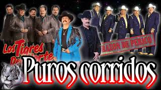 mix de corridos perrones 💥 Los Tigres Del Norte Los Razos Los Tucanes De Tijuana Los Originales