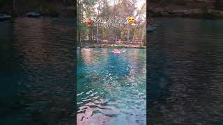 Beautiful Springs ❤️ 😍 #ginniesprings #travelwithme  #vacations #trendingshorts