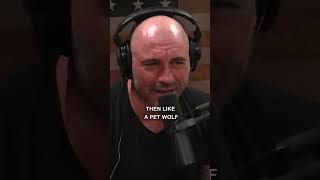 "Dogs DON'T COUNT As Animals" 🐶 | Joe Rogan, Theo Von #shorts