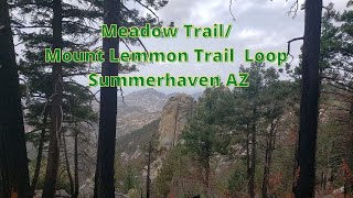 Meadow/ Mount Lemmon Trail #5 Loop Summerhaven AZ