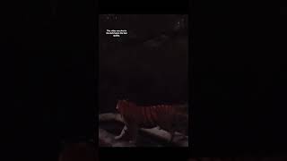 Tiger caught us in dark #tiger #ytshorts #shortsfeed #youtubeshorts #sariska