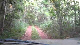 White armadillo!!  Guyana fellas have a seriously unique accent!!