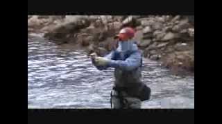 Scottie Finanger   Fly Fishing Wilson Creek NC 2012