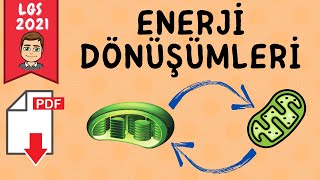 Enerji Dönüşümleri (8.sınıf) +PDF