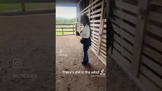 In the stables #shorts