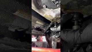 Audi a8 oil change