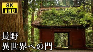 【異世界探訪8K】『戸隠神社 奥社』の参拝｜Visit to Togakushi Shrine Okusha