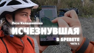 ИСЧЕЗНУВШАЯ В БРЕВЕТЕ. Часть 1. Первые неприятности