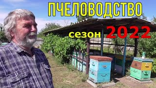 300 семей / Про сезон 2022 / ПЧЕЛОВОДСТВО .