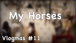 VLOGMAS #11 // POKAZUJĘ MOJE KONIE! 🐴❄️