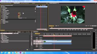 How to Use the Leave Color Effect in Adobe Premiere