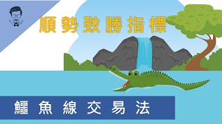 【外匯教學】外匯保證金 技術分析！順勢致勝指標 神奇的鱷魚線｜外匯大叔｜外匯課程｜