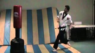 Flying side kick   White Belt Kicks and punches