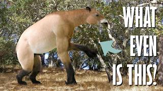 Chalicotherium | Just how weird can mammals get?