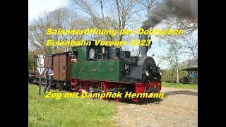 Saisoneröffnung des Deutschen Eisenbahn Vereins 2023 Zug mit Dampflok Hermann