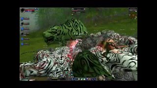 Tiger Girl Killed by ToKU after 401 min