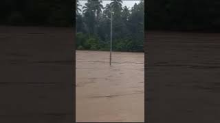 Masjid Raya Pangkalan Koto Baru Hari ini #perjalananrasa#banjir #batangmahek#videoshort #feedshorts