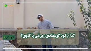 کدام کود را بخریم؟!