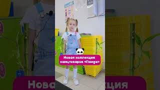 Самый милый обзор на новую коллекцию канцтоваров «Панда» 😍