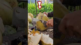 Fantastic! King coconut fruit cutting skills. #coconut #shorts #viralvideo #short #cuttingskills