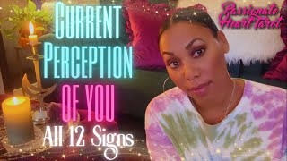 ✨🩷 Their Current Perception of You! ✧ All 12 Signs - Time Stamped 🩵✨