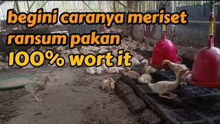 trik sederhana dan akurat dalam mencoba ransum pakan